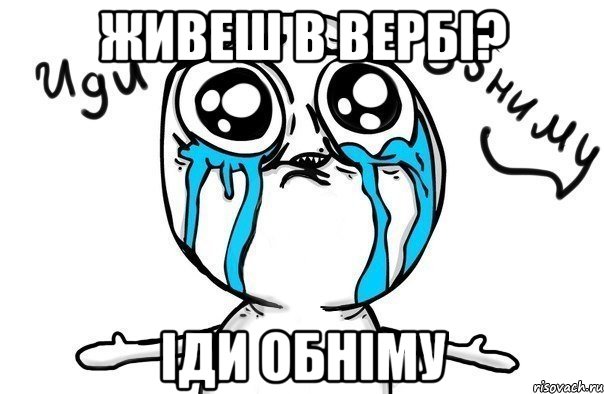 живеш в вербі? іди обніму, Мем Иди обниму