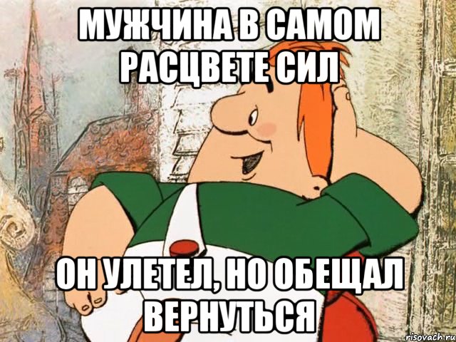 мужчина в самом расцвете сил он улетел, но обещал вернуться, Мем карлсон