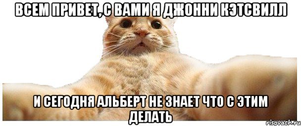 Всем привет, с вами я джонни кэтсвилл и сегодня альберт не знает что с этим делать, Мем   Кэтсвилл