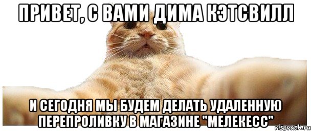 Привет, с Вами Дима Кэтсвилл И сегодня мы будем делать удаленную перепроливку в магазине "Мелекесс", Мем   Кэтсвилл