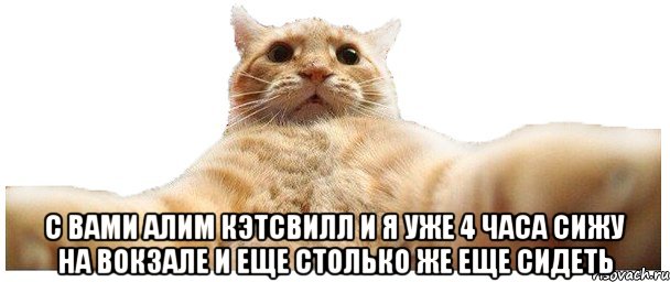  С вами Алим Кэтсвилл и я уже 4 часа сижу на вокзале и еще столько же еще сидеть, Мем   Кэтсвилл