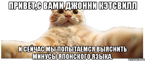 Привет,с вами Джонни Кэтсвилл и сейчас мы попытаемся выяснить минусы японского языка., Мем   Кэтсвилл