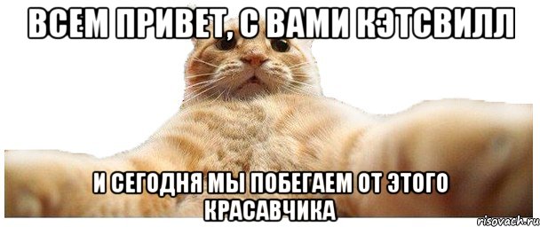 Всем привет, с вами Кэтсвилл И сегодня мы побегаем от этого красавчика, Мем   Кэтсвилл