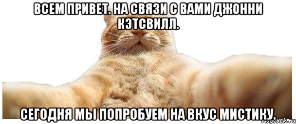 Всем привет. На связи с вами Джонни Кэтсвилл. Сегодня мы попробуем на вкус мистику., Мем   Кэтсвилл