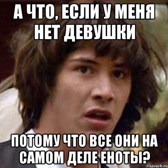 А что, если у меня нет девушки потому что все они на самом деле еноты?, Мем А что если (Киану Ривз)