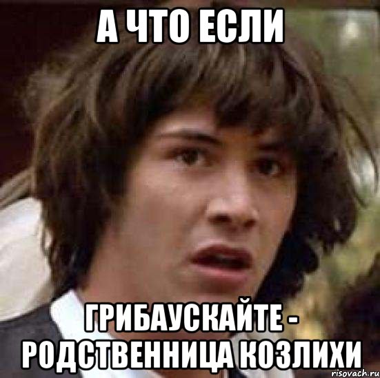 А что если Грибаускайте - родственница Козлихи, Мем А что если (Киану Ривз)