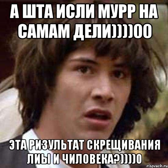 А шта исли мурр на самам дели))))00 Эта ризультат скрещивания лиы и чиловека?))))0, Мем А что если (Киану Ривз)