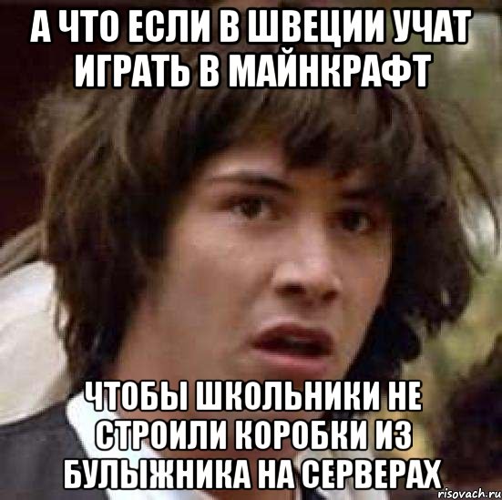 А что если в швеции учат играть в майнкрафт чтобы школьники не строили коробки из булыжника на серверах, Мем А что если (Киану Ривз)