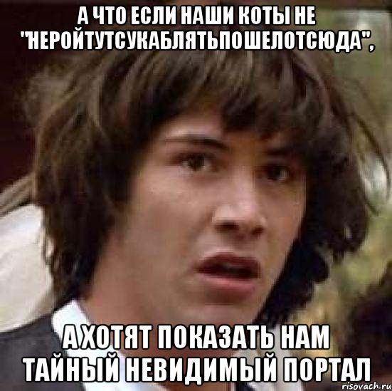 а что если наши коты не "неройтутсукаблятьпошелотсюда", а хотят показать нам тайный невидимый портал, Мем А что если (Киану Ривз)