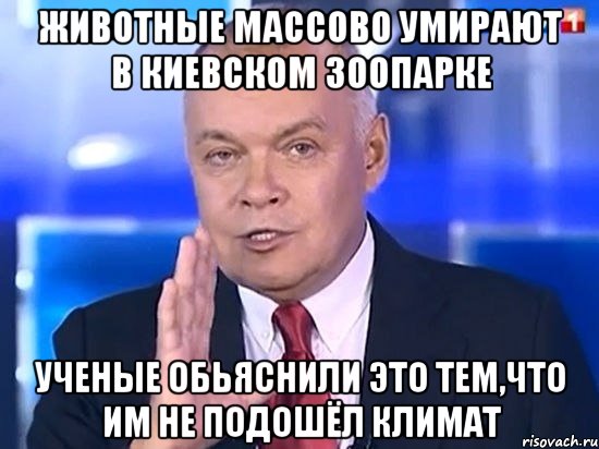 Животные массово умирают в Киевском зоопарке Ученые обьяснили это тем,что им не подошёл климат