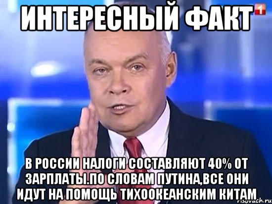 Интересный факт В России налоги составляют 40% от зарплаты.По словам Путина,все они идут на помощь тихоокеанским китам, Мем Киселёв 2014