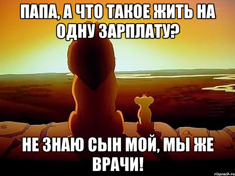 Папа, а что такое жить на одну зарплату? не знаю сын мой, мы же врачи!, Мем  король лев