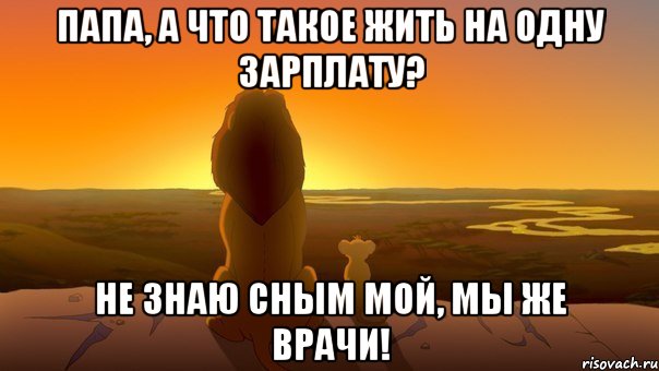 Папа, а что такое жить на одну зарплату? Не знаю сным мой, мы же врачи!, Мем  король лев