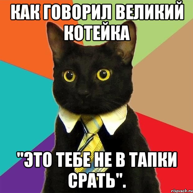 Как говорил великий котейка "Это тебе не в тапки срать"., Мем  Кошечка