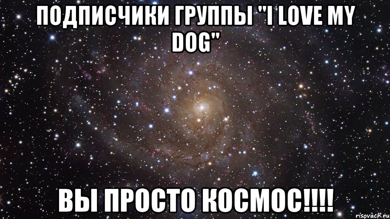 ПОДПИСЧИКИ ГРУППЫ "I love my dog" ВЫ ПРОСТО КОСМОС!!!!, Мем  Космос (офигенно)