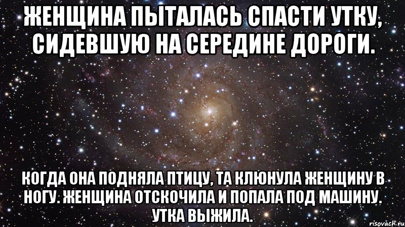 Женщина пыталась спасти утку, сидевшую на середине дороги. Когда она подняла птицу, та клюнула женщину в ногу. Женщина отскочила и попала под машину. Утка выжила., Мем  Космос (офигенно)