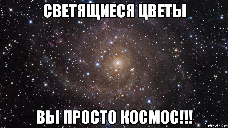 Светящиеся цветы ВЫ просто КОСМОС!!!, Мем  Космос (офигенно)