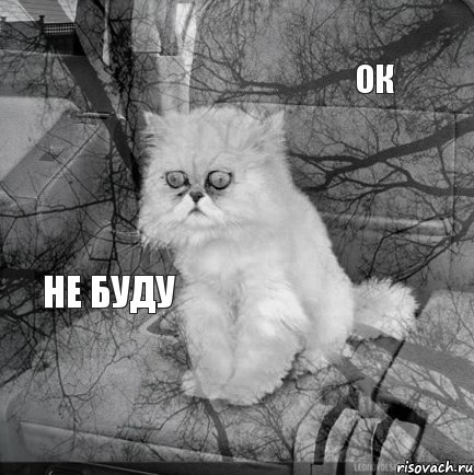  ок   не буду