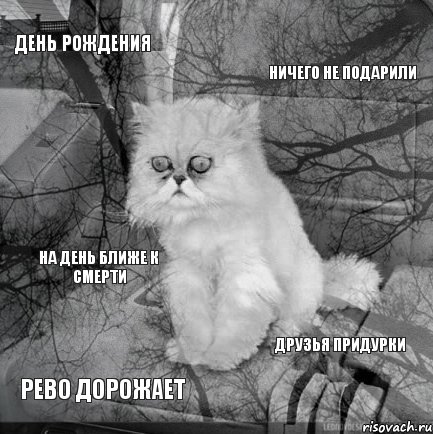 день рождения ничего не подарили рево дорожает друзья придурки на день ближе к смерти, Комикс  кот безысходность