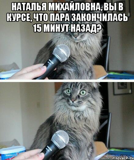 НАТАЛЬЯ МИХАЙЛОВНА, ВЫ В КУРСЕ, ЧТО ПАРА ЗАКОНЧИЛАСЬ 15 МИНУТ НАЗАД? , Комикс  кот с микрофоном