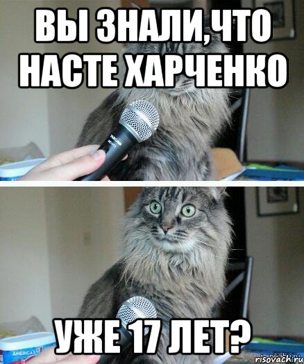 Вы знали,что Насте харченко уже 17 лет?, Комикс  кот с микрофоном