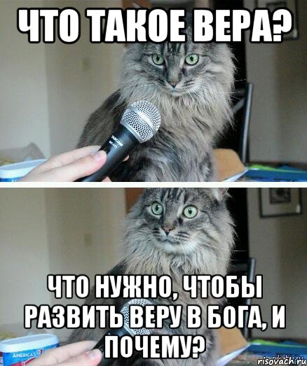 Что такое вера? Что нужно, чтобы развить веру в Бога, и почему?, Комикс  кот с микрофоном