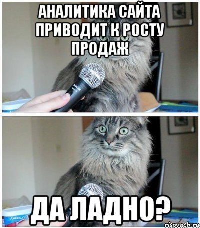 Аналитика сайта приводит к росту продаж Да ладно?, Комикс  кот с микрофоном