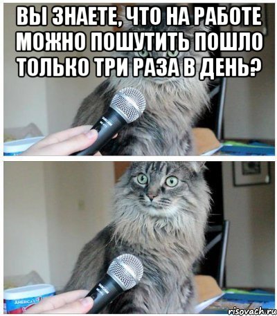 вы знаете, что на работе можно пошутить пошло только три раза в день? , Комикс  кот с микрофоном