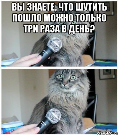 вы знаете, что шутить пошло можно только три раза в день? , Комикс  кот с микрофоном