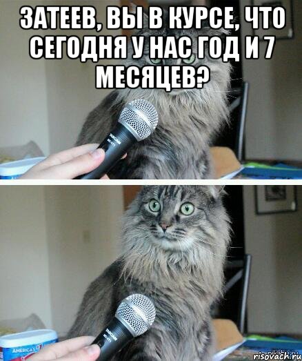 Затеев, Вы в курсе, что сегодня у нас год и 7 месяцев? , Комикс  кот с микрофоном