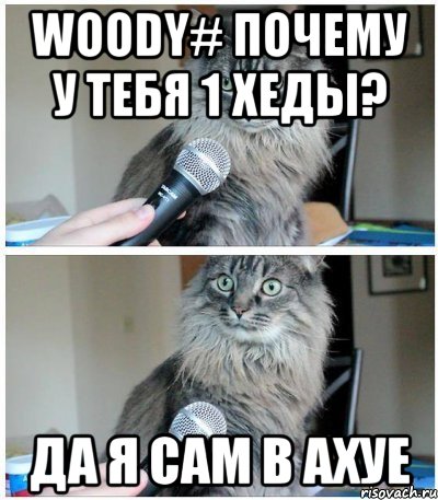 WooDy# почему у тебя 1 хеды? Да я сам в ахуе, Комикс  кот с микрофоном