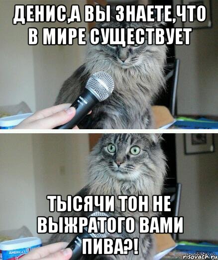 Денис,а Вы знаете,что в мире существует тысячи тон не выжратого вами пива?!, Комикс  кот с микрофоном