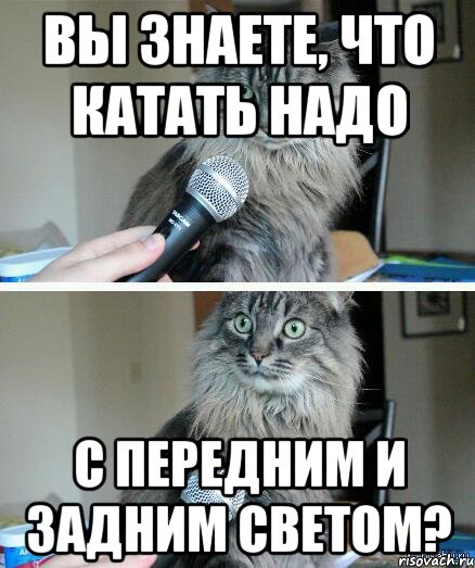 Вы знаете, что катать надо с передним и задним светом?, Комикс  кот с микрофоном