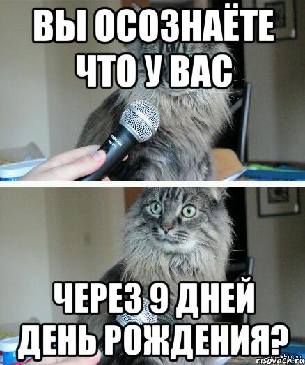 Вы осознаёте что у вас через 9 дней день рождения?, Комикс  кот с микрофоном