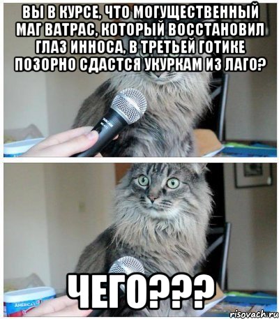 вы в курсе, что могущественный маг ватрас, который восстановил глаз инноса, в третьей Готике позорно сдастся укуркам из лаго? чего???, Комикс  кот с микрофоном