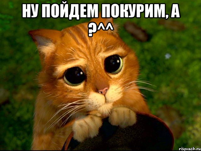 ну пойдем покурим, а ?^^ , Мем кот из шрека