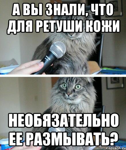 А вы знали, что для ретуши кожи Необязательно ее размывать?, Комикс  кот с микрофоном