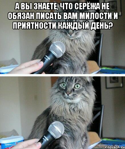 а вы знаете, что Серёжа не обязан писать вам милости и приятности каждый день? , Комикс  кот с микрофоном