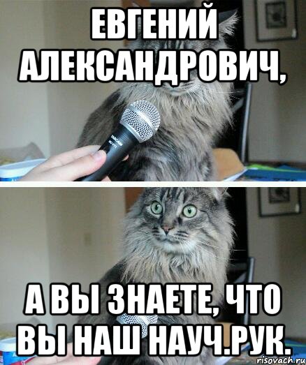 Евгений Александрович, а вы знаете, что вы наш науч.рук., Комикс  кот с микрофоном