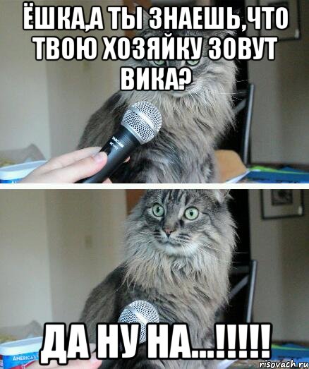 ёшка,а ты знаешь,что твою хозяйку зовут вика? да ну на...!!!!!, Комикс  кот с микрофоном