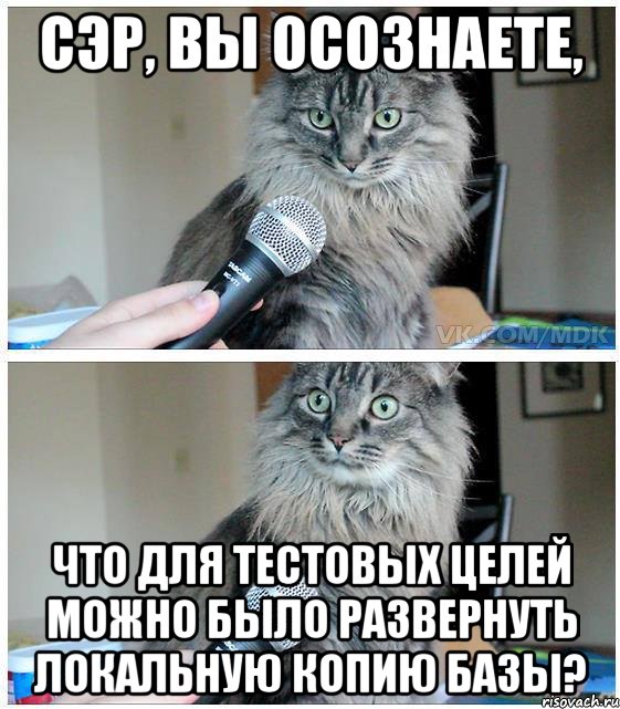 Сэр, вы осознаете, что для тестовых целей можно было развернуть локальную копию базы?, Комикс  кот с микрофоном