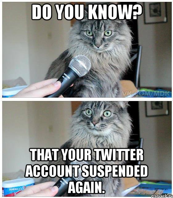 Do you know? That your twitter account suspended again., Комикс  кот с микрофоном