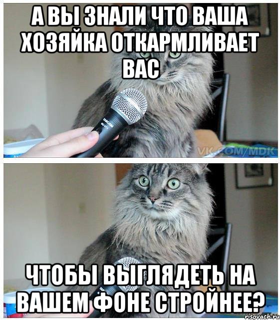 а вы знали что ваша хозяйка откармливает вас чтобы выглядеть на вашем фоне стройнее?, Комикс  кот с микрофоном