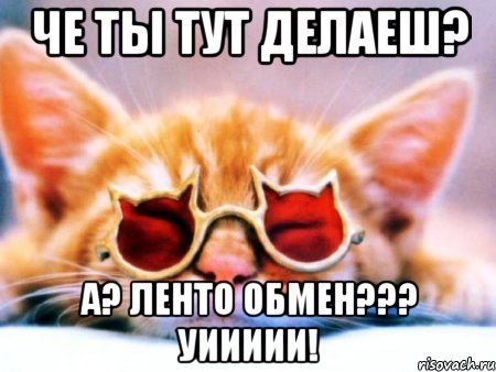 Че ты тут делаеш? А? ленто обмен??? УИИИИИ!