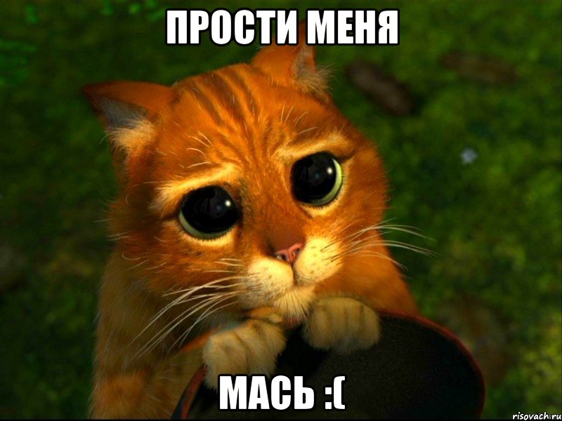 прости меня Мась :(, Мем кот из шрека