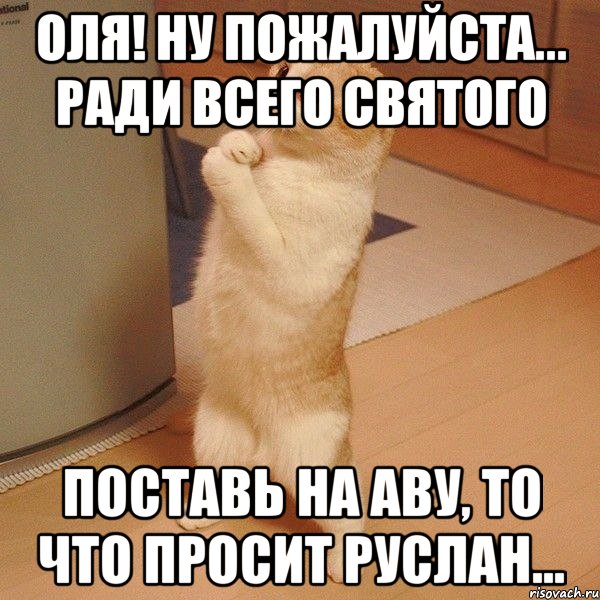 Оля! Ну пожалуйста... ради всего святого Поставь на аву, то что просит Руслан..., Мем  котэ молится