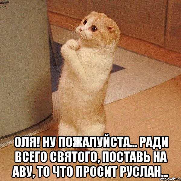  Оля! Ну пожалуйста... ради всего святого, Поставь на аву, то что просит Руслан..., Мем  котэ молится