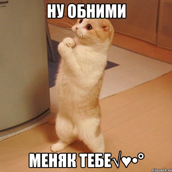 Ну Обними МеняК тЕбЕ√♥•°, Мем  котэ молится