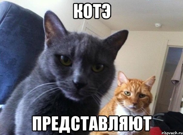 КОТЭ ПРЕДСТАВЛЯЮТ