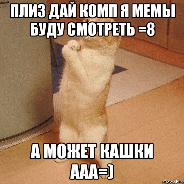 ПЛИЗ ДАЙ КОМП Я МЕМЫ БУДУ СМОТРЕТЬ =8 А МОЖЕТ КАШКИ ААА=), Мем  котэ молится